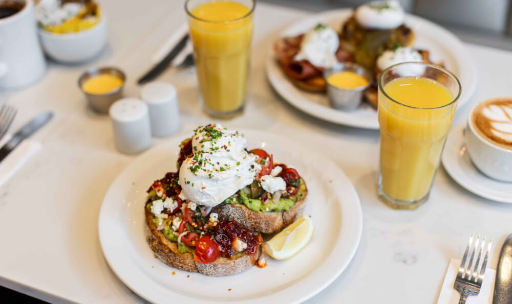 Avocado Sourdough Moose Coffee